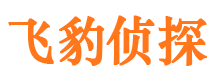 普宁市调查公司